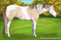 Horse Color:Brown Pearl Dun Sabino Tobiano 
