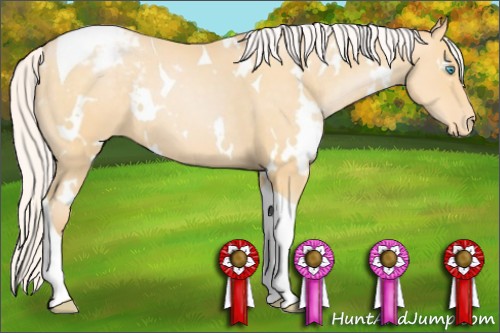 Horse Color:White Spotted Silver Buckskin Pearl Tobiano Appaloosa