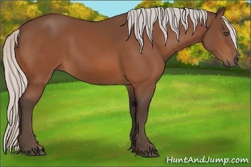 Horse Color:Silver Bay
