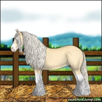 Horse Color:Palomino Dun Splash