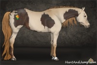 Horse Color:Liver Chestnut  and Red Dun 