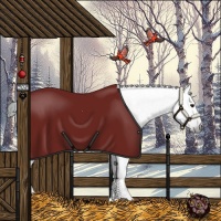 Horse Color:Gray Bay