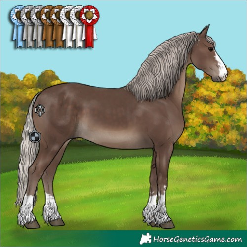 Horse Color:Silver Black 