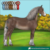 Horse Color:Silver Black 