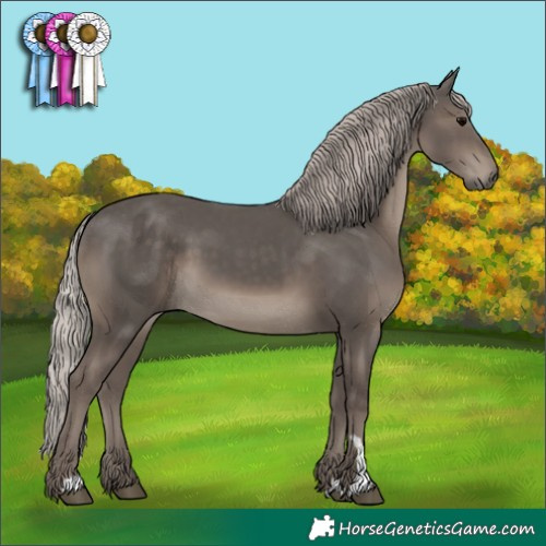 Horse Color:Silver Black 