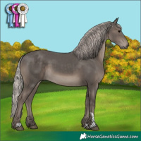 Horse Color:Silver Black 