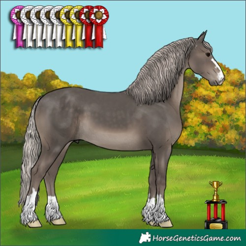 Horse Color:Silver Black 