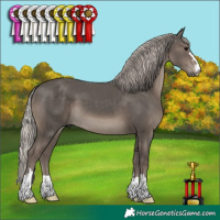 Horse Color:Silver Black 