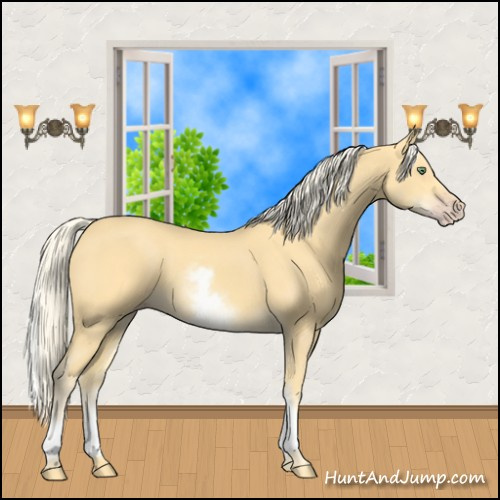 Horse Color:White Spotted Gold Cream Champagne 