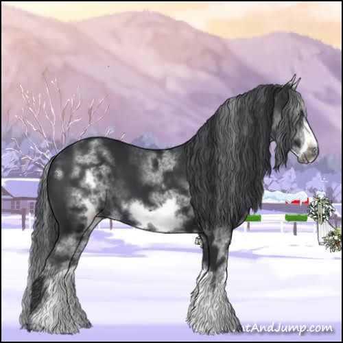 Horse Color:White Spotted Black Sabino Frame 