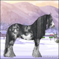 Horse Color:White Spotted Black Sabino Frame