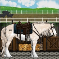 Horse Color:Perlino Sabino  and Perlino Sabino Frame 