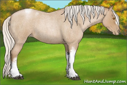 Horse Color:Silver Blue Roan Pearl Tobiano Frame 