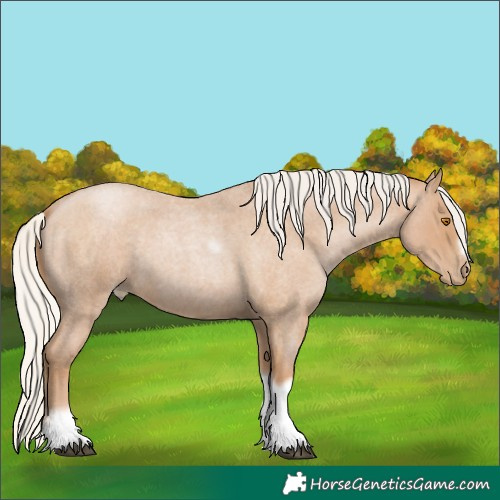 Horse Color:Silver Blue Roan Pearl Tobiano Frame 