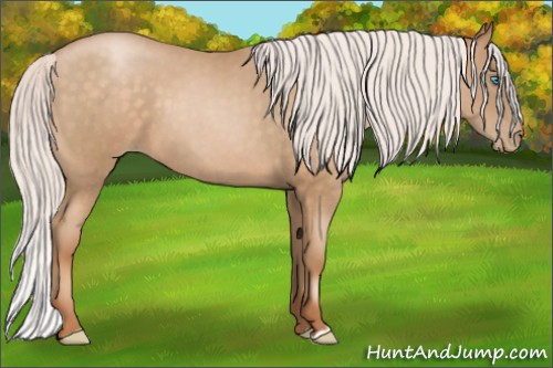 Horse Color:Silver Buckskin Roan Pearl 