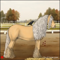 Horse Color:Palomino