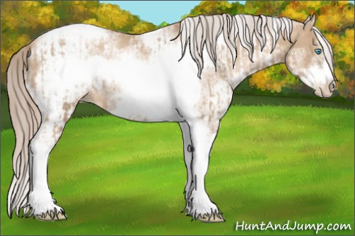 Horse Color:Chocolate Palomino Pearl Tobiano Frame  and White Spotted Chocolate Palomino Pearl Tobiano Frame 