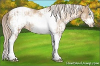 Horse Color:Chocolate Palomino Pearl Tobiano Frame  and White Spotted Chocolate Palomino Pearl Tobiano Frame 