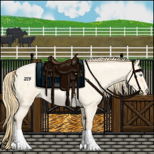 Horse Color:Buckskin Roan Pearl  and Perlino Roan 