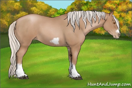 Horse Color:Silver Blue Roan Pearl Tobiano Frame