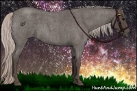 Horse Color:Silver Blue Roan