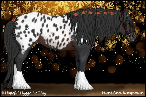 Horse Color:Brown Appaloosa