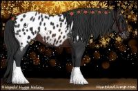 Horse Color:Brown Appaloosa 