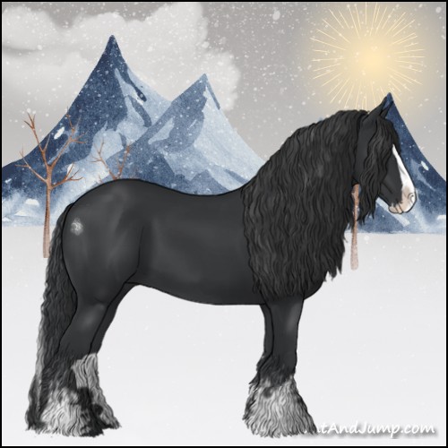 Horse Color:White Spotted Black Splash