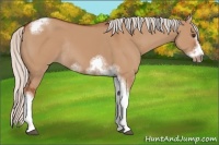 Horse Color:Silver Bay Dun Sabino Tobiano Frame Rabicano 