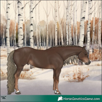 Horse Color:Gray Chestnut Mushroom 