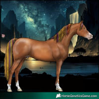Horse Color:Gray Painted Gold Champagne 