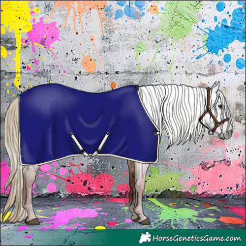 Horse Color:Gray Chestnut 