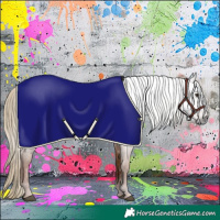 Horse Color:Gray Chestnut 