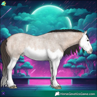 Horse Color:Brown Roan Dun Splash Rabicano 