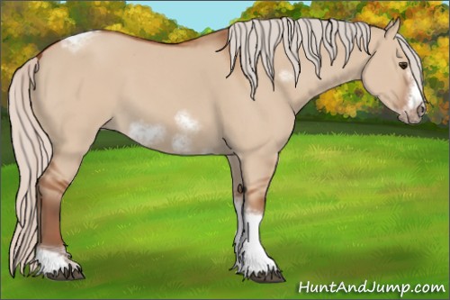 Horse Color:Silver Bay Dun Sabino Tobiano Frame Rabicano 