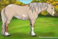 Horse Color:Silver Bay Dun Sabino Tobiano Frame Rabicano