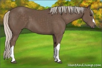 Horse Color:Silver Black