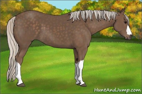 Horse Color:Silver Black 