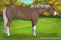 Horse Color:Silver Black 