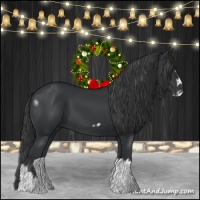 Horse Color:Black Splash Frame