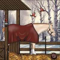 Horse Color:Gold Champagne Pearl Rabicano  and Sable Champagne Pearl Rabicano 