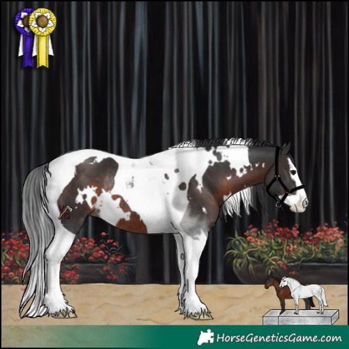 Horse Color:White Spotted Brown Splash Tobiano Rabicano 