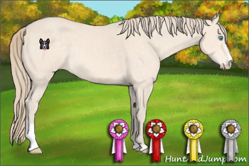 Horse Color:Perlino Sabino
