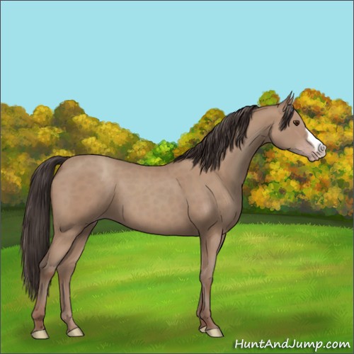 Horse Color:Classic Champagne 