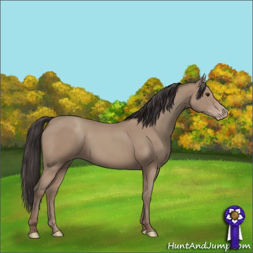 Horse Color:Classic Champagne 