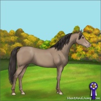 Horse Color:Classic Champagne 