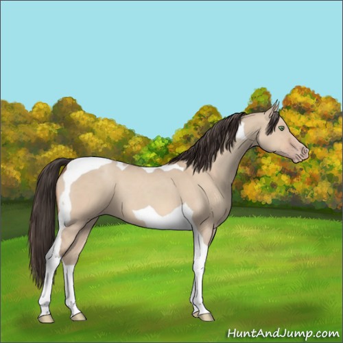 Horse Color:Amber Champagne Dun Tobiano 