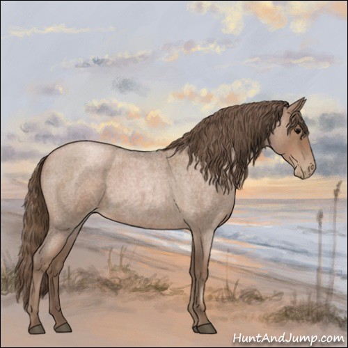 Horse Color:Blue Roan Pearl 