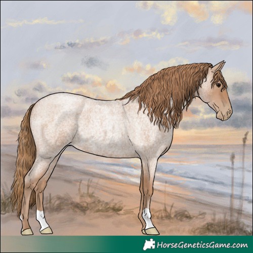 Horse Color:Blue Roan Pearl 