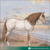 Horse Color:Blue Roan Pearl 